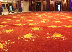 中宜京都养老基地地毯